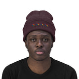 Chicago 4 star rainbow pride hat Knit Beanie