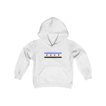 Chicago pride Youth Heavy Blend Hooded Sweatshirt