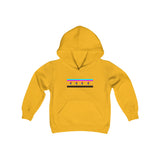 Chicago pride Youth Heavy Blend Hooded Sweatshirt