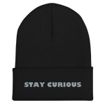 STAY CURIOUS gold embroidery beanie
