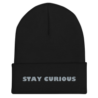 STAY CURIOUS gold embroidery beanie